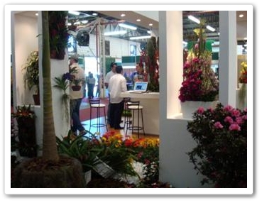 RotomixBrasil - Enflor 02 RotomixBrasil - Enflor 02