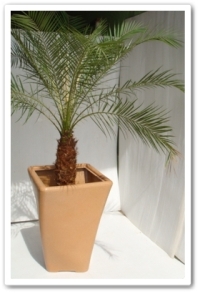 RotomixBrasil - Vaso Rotomoldado Twister